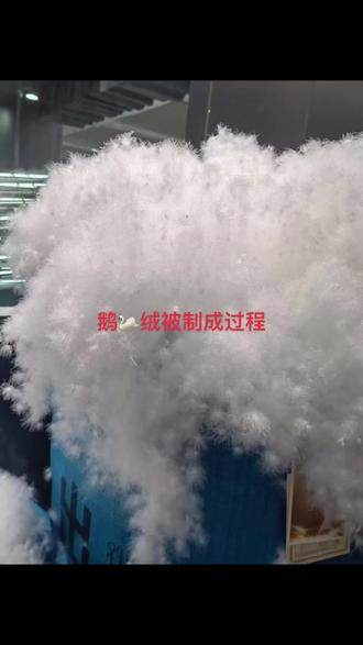 鹅🦢绒被制成过程3分钟