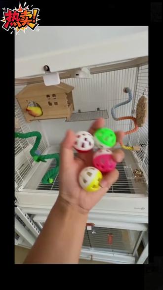 小太阳牡丹玄凤鹦鹉啃咬玩具虎皮小鸟笼子玩具解闷自嗨发声玩具球