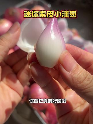 炒菜凉拌生吃都很不错,比普通大洋葱好吃多了~#迷你洋葱
