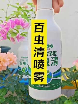 想让你的月季花开得又大又艳,却总被讨厌的小虫打扰?别让虫害毁了你的心血! 这款#百虫清 驱虫喷雾,就是你的救星!它能精准对付那些啃食叶片、吸食汁液的"小坏蛋",让月季的叶片重新变得绿油油,花苞健康饱满。 特点: - 配方温和,对月季安全,不用担心会伤到心爱的花儿 - 使用方便,免稀释,直接喷,见效快,持效久 - 一瓶就能解决多种虫害问题,省心又省力 别再等了!赶紧给你的月季一份安心的保护,让它尽情绽放美丽吧!现在下单,还能享受限时优惠哦!#月季养护 #养花小知识 #虫害防治 #花卉绿植