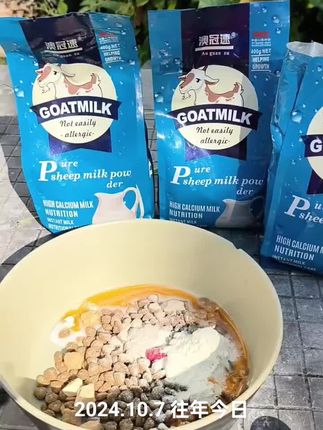 #实战猎犬 #格力犬 #灵缇犬格力犬惠比特 #猎兔犬 #猎犬热爱