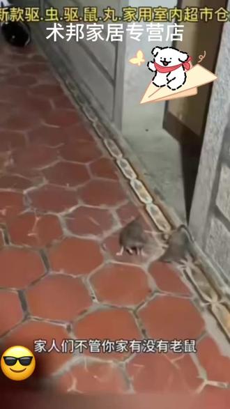 家里有老鼠的,别担心,一颗小绿丸就可以搞定 #老鼠 #驱鼠 #鼠疫