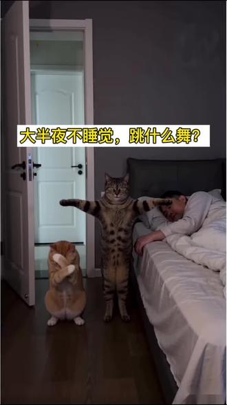 大半夜不睡觉 跳什么舞啊?!#AI #怪奇物语 #怪奇物语舞蹈 #半夜不睡觉 #猫咪的迷惑行为