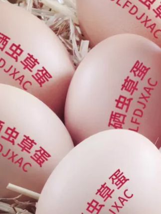好物推荐#散养土鸡蛋 #日常分享 #营养丰富 #抖音助农 #三农