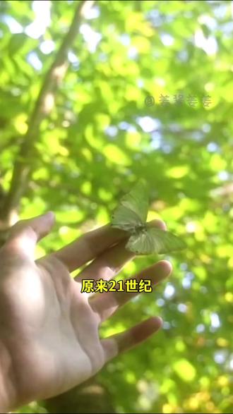 此刻 生命和21世纪一起步入夏季#21世纪进入了夏天 #夏天 #新年快乐 #00后 #生命