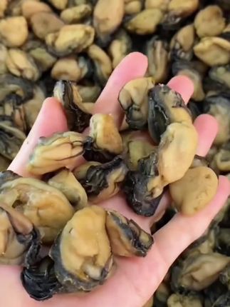 生蚝干海蛎干#海味干货 #生蚝 #海鲜美食 #好吃到停不下来 #快来一起尝个鲜