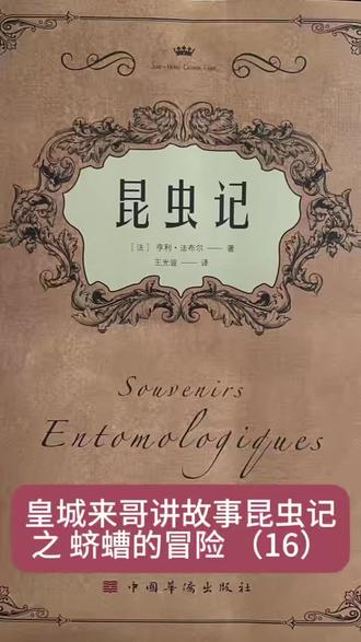 皇城来哥讲故事:昆虫记之蛴螬的冒险(16)