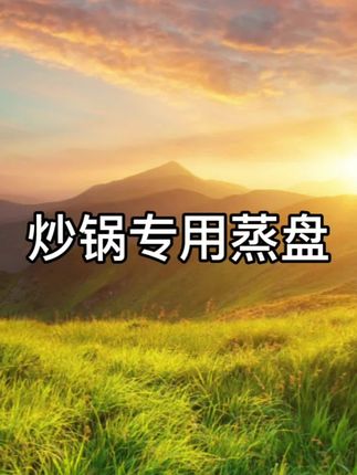 炒锅专用蒸盘#厨房好物 #生活好帮手#在抖音入手的好东西 #方便又实用 #好物推荐🔥