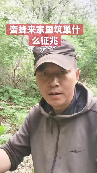 蜜蜂来家里筑巢什么征兆#养蜂人