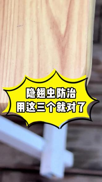 隐翅虫防治,用这三个就对了#隐翅虫 #蟑螂药批发 #源头厂家 #有害生物防制