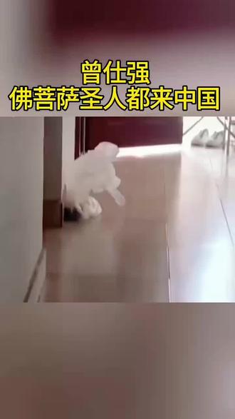 佛菩萨都来中国 #留下美好的瞬间 #曾仕强