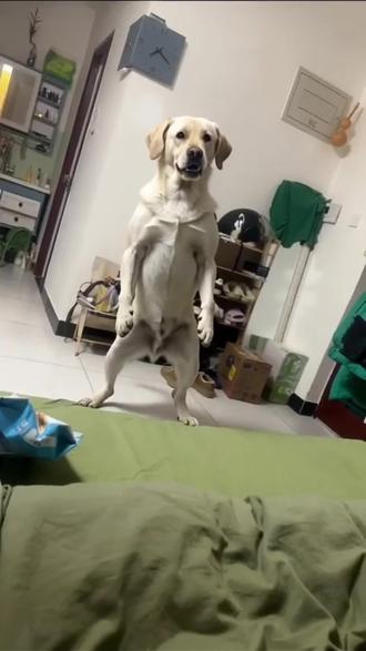 #AI马年一路发发发