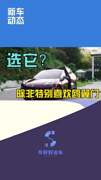 选它?除非你特别喜欢鸥翼门!昊铂HT鸥翼门版28.69万起#昊铂 #昊铂ht #新能源