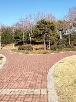 #野餐垫 #居家好物 #超便宜超划算