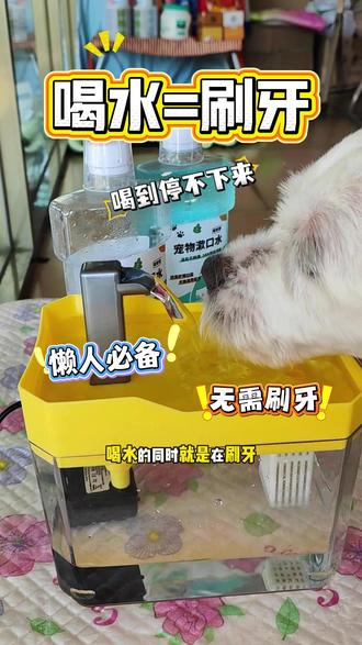 毛孩子抗拒刷牙或者家长没时间给刷牙 试试这个宠物洁齿水 含益生菌、清洁口腔一步到位 #宠物洁齿水 #宠物口腔护理 #养宠进阶指南 #萌宠好物 #养狗经验分享