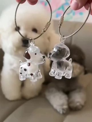 #宠物#哈哈哈#不错不错#宠物专用用品#哈哈哈哈哈哈哈