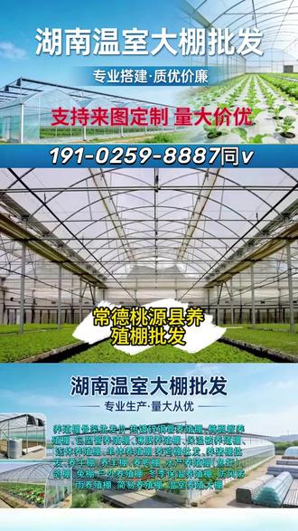#常德桃源县养殖棚批发 热线:191-0259-8887同v,建一亩温室大棚得多少钱,建大棚温室多少钱一亩,连栋薄膜温室一平方多少钱,大棚骨架厂家批发价格多少钱一吨,连栋薄膜温室大棚厂家,大棚的造价多少钱一平方,大棚温室多少钱一亩,钢架大棚造价多少钱一平米,大棚搭建多少钱一平方米,玻璃温室大棚多少钱价格 #温室大棚 #养殖大棚 #蔬菜大棚 #智能温室大棚 #温 室室大棚厂家