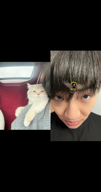 和 @柯铭的沙雕艺术生活 一起 #合拍