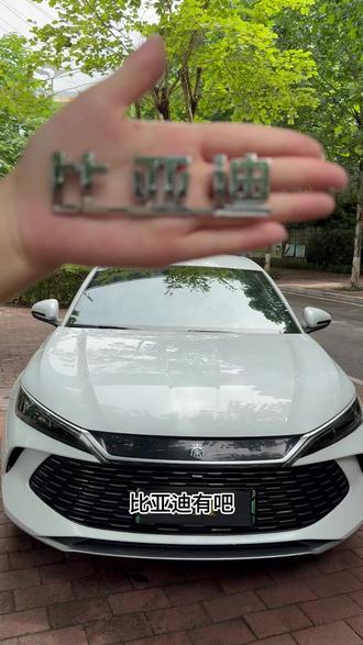 比亚迪秦plus空调滤芯空气滤芯怎么更换?宋plus更换教程#肖师傅空调滤芯 #比亚迪 #比亚迪汉 #空气滤芯 唐 海豹06