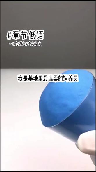 非人类饲养员 #小说推文#甜宠#偏执