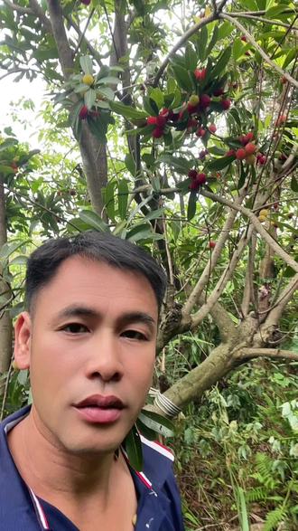 来山上看一下我的杨梅 #杨梅果实展示 #自然系果实