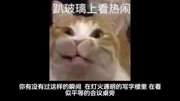 受不了了!! #猫猫梗图 #曼波讲故事 #青年创作者计划