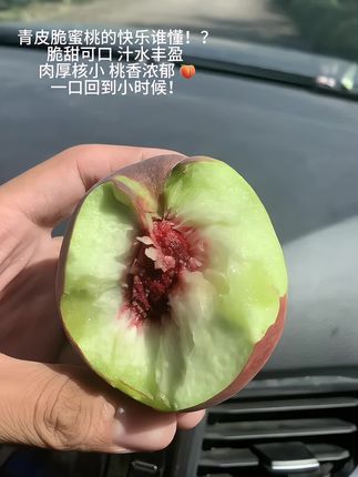 老品种青皮脆桃,桃味浓到上头!又脆又甜,一口咬下去,瞬间穿越回小时候的夏天!这脆爽!就是记忆里外婆家桃树的味道!爱吃脆桃的宝子们,闭眼冲!#脆桃 #新鲜应季水果#又脆又甜#小时候的味道#口感特别好