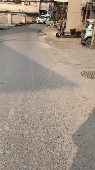 小狗心思是关注当下的
#自然风景 #小狗狗能有什么坏心思 #田园犬 #感悟人生 #大学生遛狗