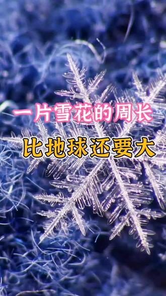 为什么那么多雪花❄️却没有两片一模一样的呢#你不知道的事 #每天跟我涨知识 #每日一问