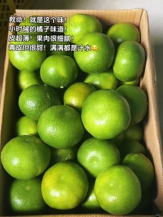 新鲜青皮蜜桔上市了!都是果农现摘现发,每一个都是皮薄无籽,汁水丰富,吃起来酸甜可口#新鲜应季水果 #青皮蜜桔 #优质农产品 #酸甜可口#口感特别好
