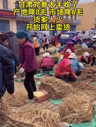 #甘肃党参 #党参段 #优质农产品 #超便宜超划算 #抖音助农