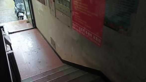 下雨天给雷龙鱼加一顿丰富的蛋白质快餐! 下雨天到处乱飞的白蚁,免费给雷龙鱼加一顿丰富的蛋白质快餐!