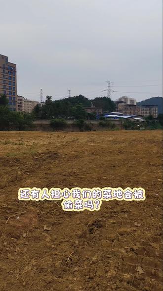 别再怕偷菜啦! ✅全程监控全覆盖
✅保安定时巡逻
✅菜园牢牢守护
自己种的菜,一分都不会少!
安心种菜,快乐收获,
这份安全感直接拉满~
#共享菜园 #自家菜园 #种菜安全感 #田园生活 #菜地守护