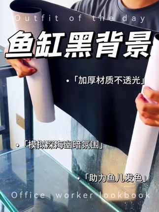 这才是养鱼高手都爱用的【黑色背景纸】,柔和不透光,模拟海底幽暗氛围,更加有助鱼儿发色。#鱼缸背景纸 #背景纸 #鱼缸背景 #造景鱼缸