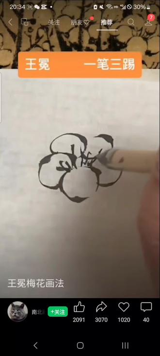 一起学画画,分享一位老师王冕梅花画法