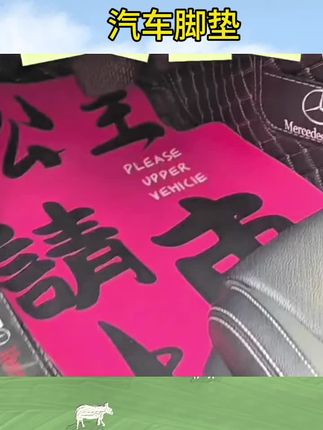 汽车脚垫主驾驶单片速干通用脚踏垫子防脏易清洗#保护垫#车地垫#专用 #好物分享 #好物推荐