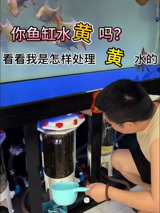 #蛋白棉净水宝#吸附黄水异味