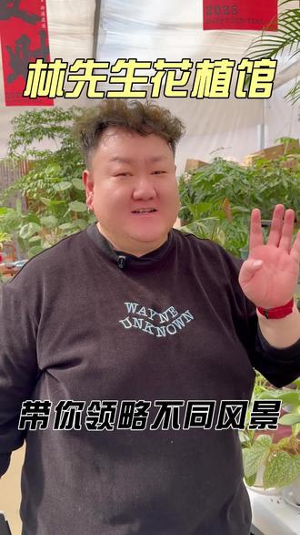 带你领略花卉的美#花卉绿植养护