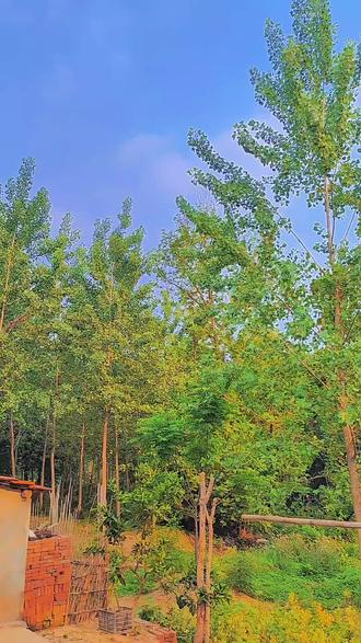 天气汉川预报 天气汉川预报