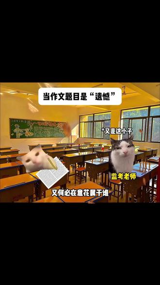 当作文题目是“遗憾” #猫meme小剧场 #遗憾 #猫meme #配音木成