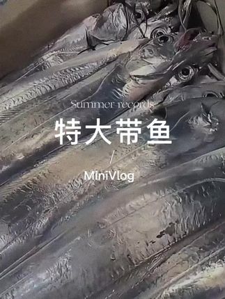 教材改版不用慌,提前准备,培养孩子主动学习的意识#亲子教育 #育儿 #学霸秘籍 #教辅推荐 #教材