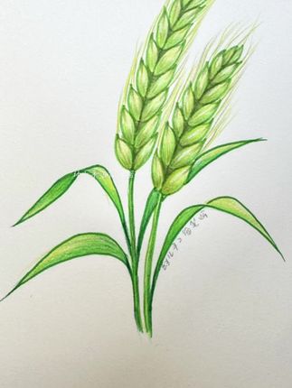 幼儿手工简笔画