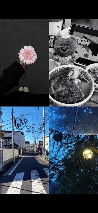 跟着嬷嬷学剪辑|第五十一章动态plog教程 #剪辑教程 #旅游plog #自学剪辑 #剪映 #手机剪辑