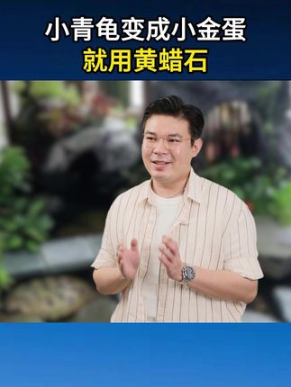 30秒教你把“灰煤球”小青龟变成“小金蛋”!养龟人都说百试百灵,不信你试试! #黄蜡石 #养龟新手 #爬宠 #乌龟