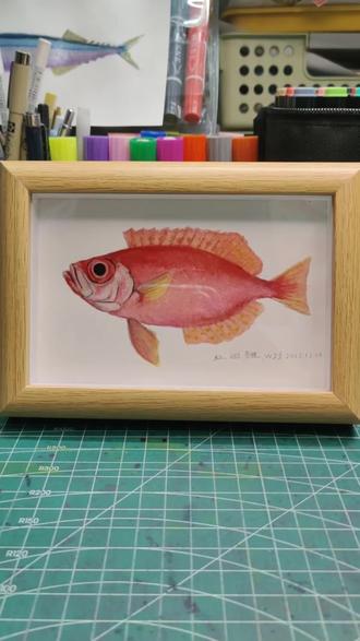 红目鲢手绘完成!把大海的浪漫装进画框#画画 #原创手绘 #画画过程 #绘画教程 #水彩