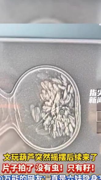 是葫芦籽 不是虫#葫芦 #万万没想到 #万物皆可盘