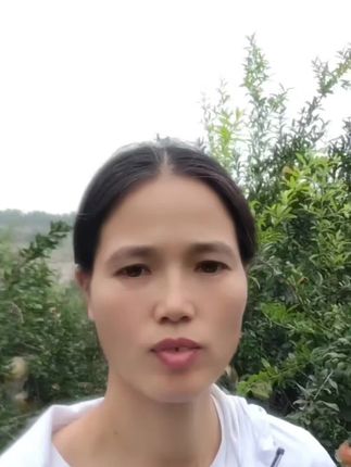 最好的石榴在树上,你负责下单,我负责摘果,明天就到你的舌尖上#应季水果 #怀远石榴采摘园 #怀远石榴熟了