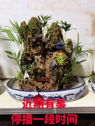#上热门 #流水摆件 #吸水石 #鱼缸造景 #水陆缸造景