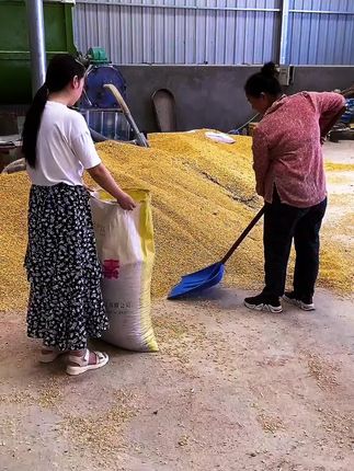 撑袋神器,一个人轻松灌装粮食。#撑袋子神器