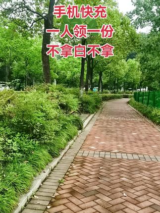 #出行必备 #快充 #无限回购的宝藏单品